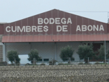 Bodega Cumbres de Abona in Arico